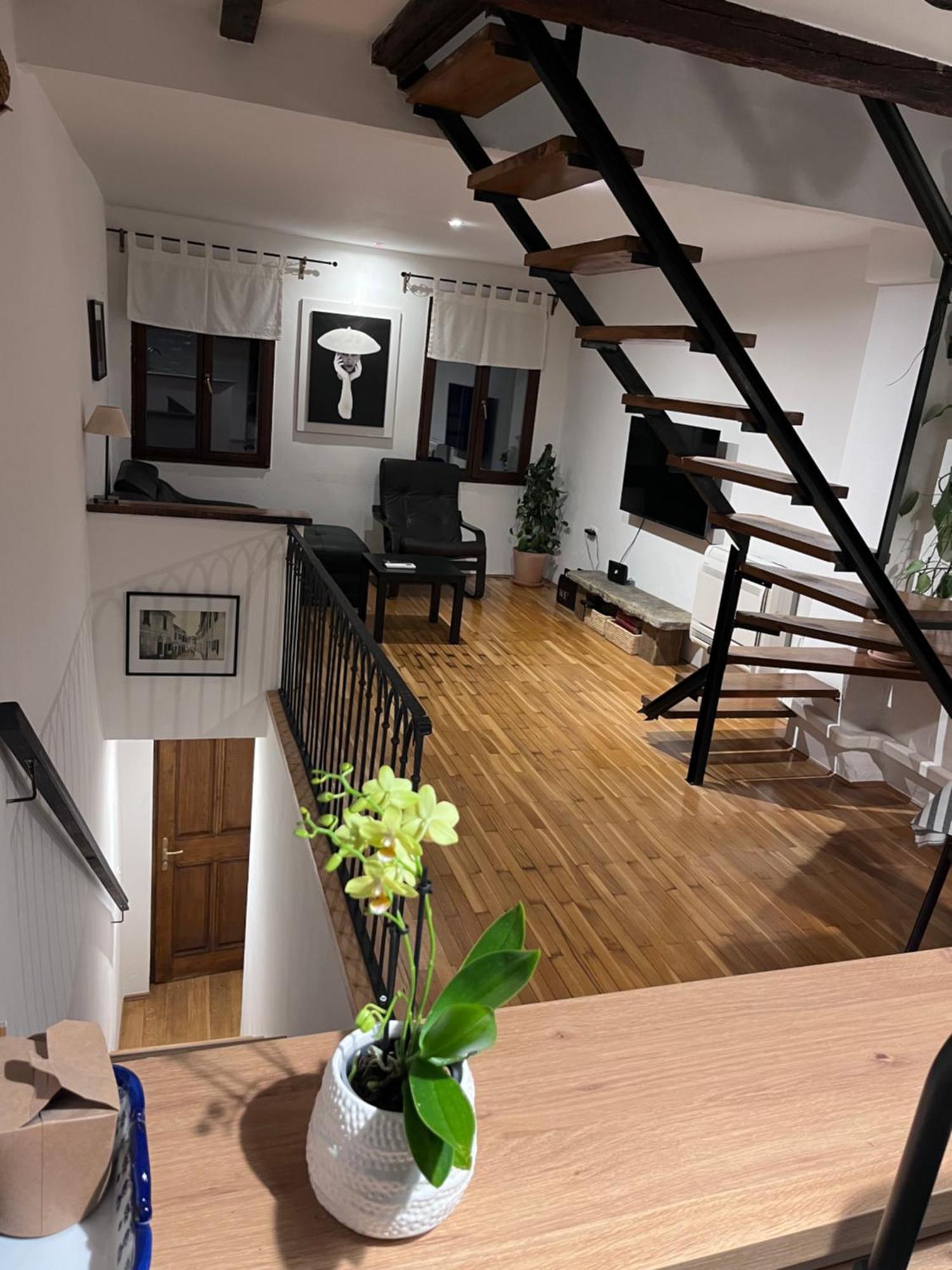 Apartment Capo D'Istria Koper Eksteriør bilde